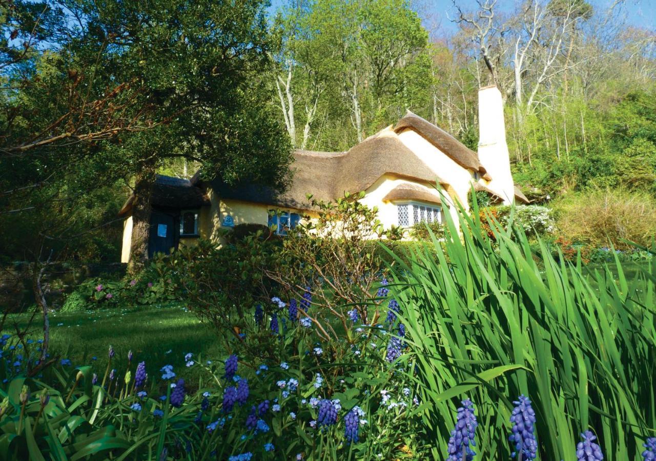 Southcliffe B&B Линтън Екстериор снимка